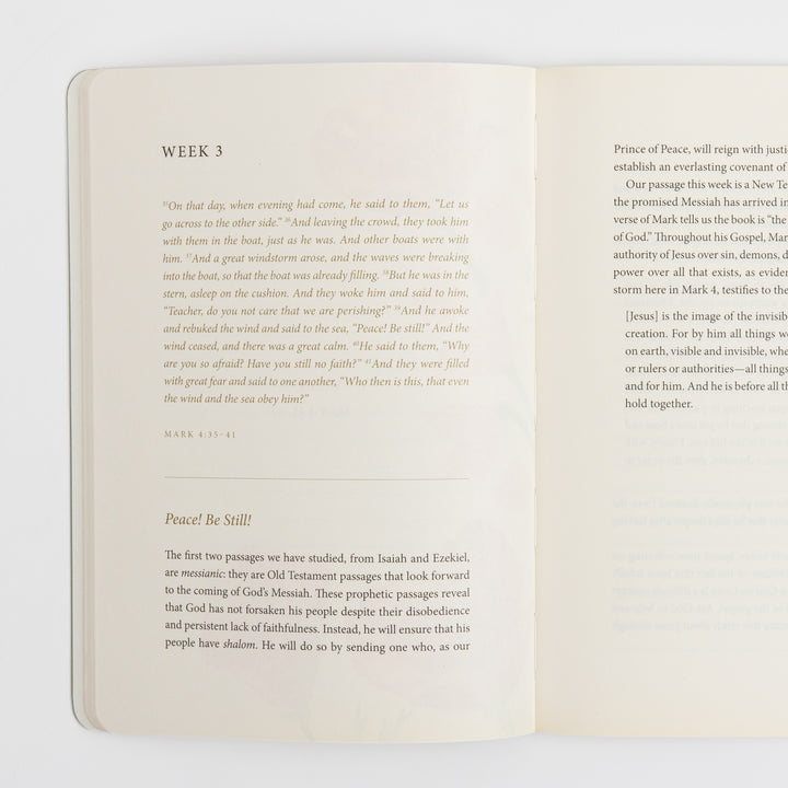 Two-page interior spread with the full printed text of Mark 4:35-41 in italic type under the &