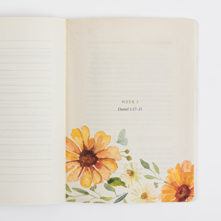 Open interior spread of the ESV Prayer Journal: 30 Days on Wisdom. The left page shows blank ruled lines for journaling. The right page is headed &
