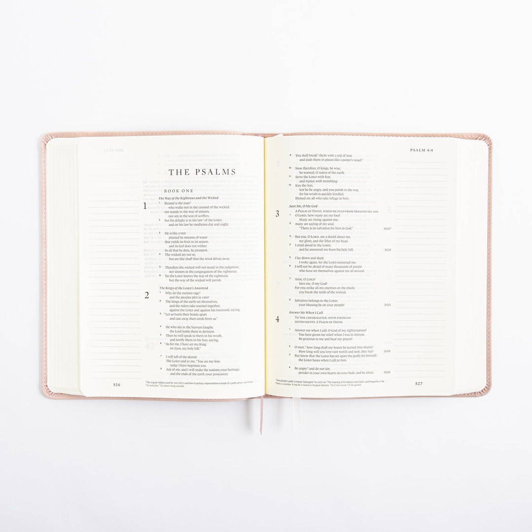 ESV Journaling Bible - Single Column - Shiloh Theme
