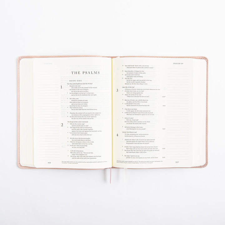 ESV Journaling Bible - Single Column - Shiloh Theme