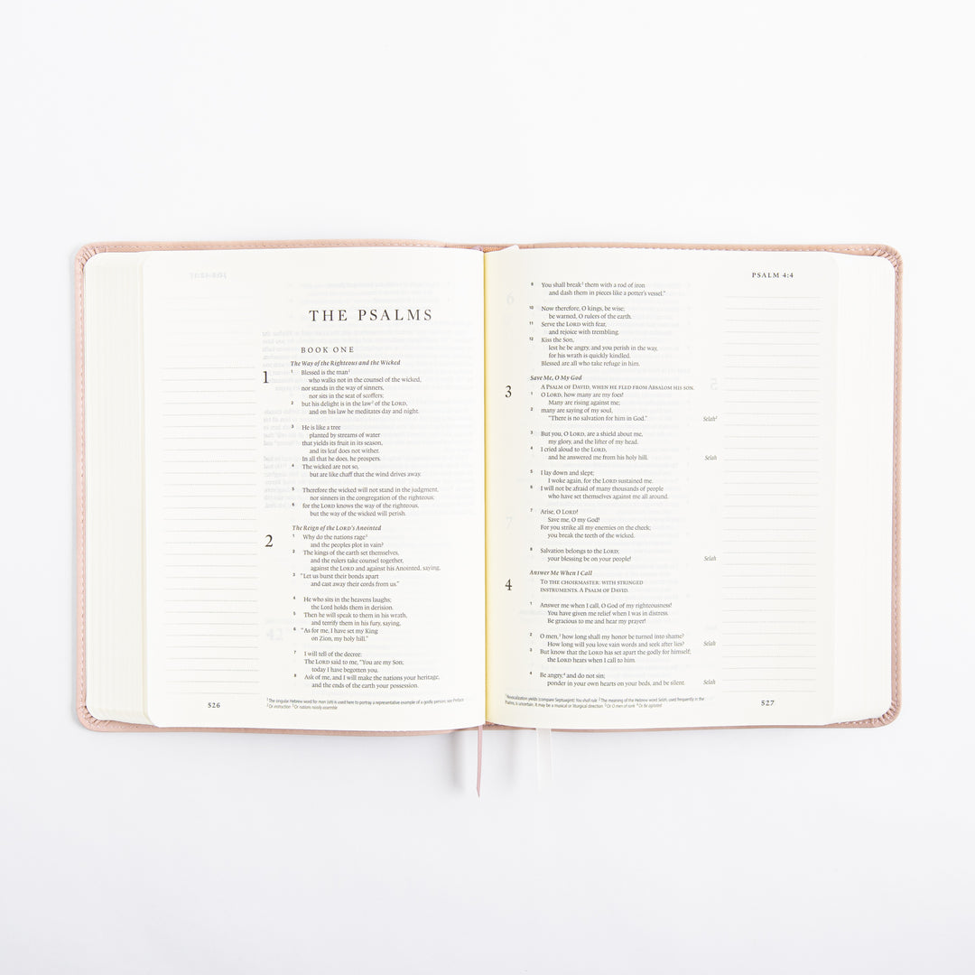 NLT Journaling Bible - Single Column - Shiloh Theme