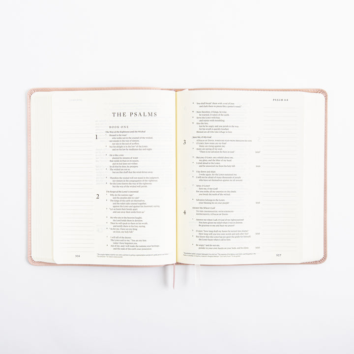 NLT Journaling Bible - Single Column - Shiloh Theme