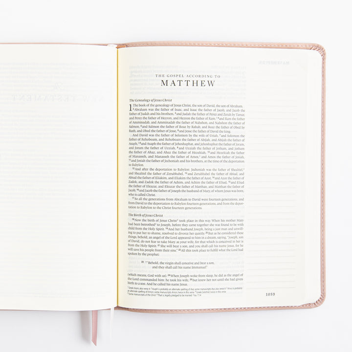 NLT Journaling Bible - Single Column - Shiloh Theme