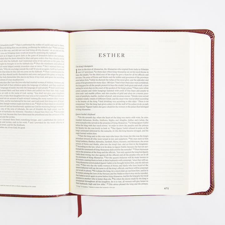 ESV Single Column Journaling Bible - Trutone - Chestnut - Leaves Design