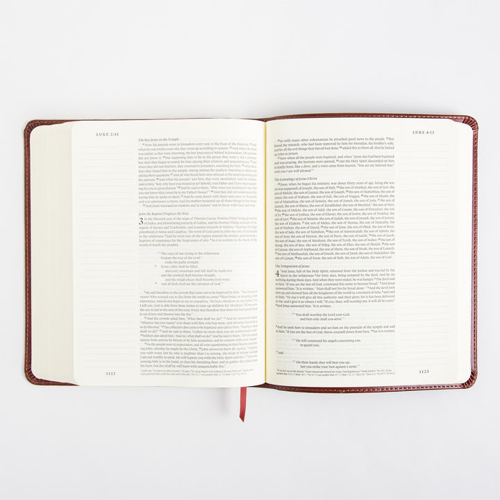 ESV Single Column Journaling Bible - Trutone - Chestnut - Leaves Design