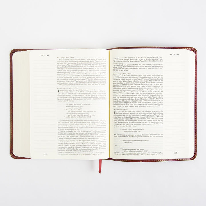 ESV Single Column Journaling Bible - Trutone - Chestnut - Leaves Design