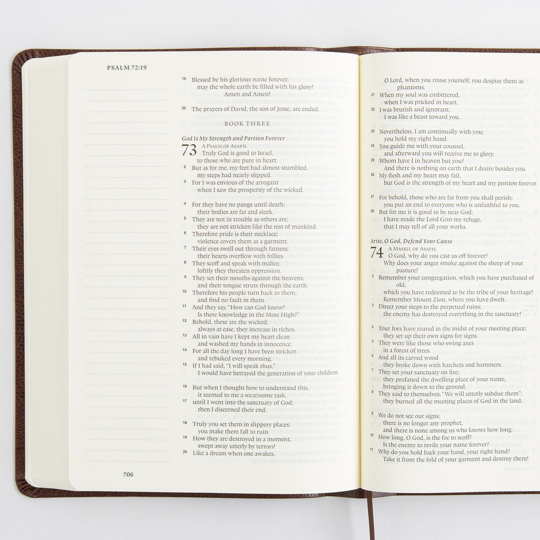 ESV Single Column Journaling Bible, Large Print - Bonded Leather, Mocha