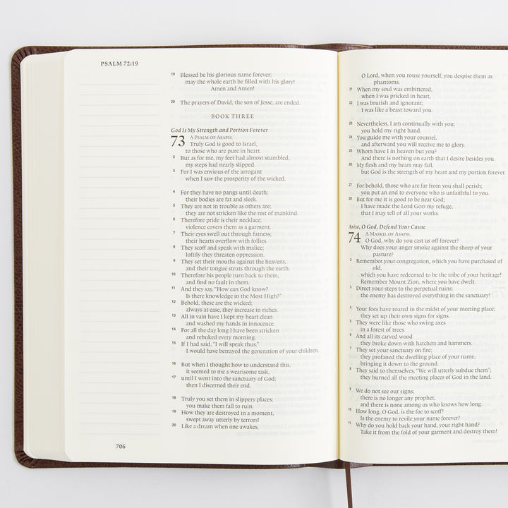ESV Single Column Journaling Bible, Large Print - Bonded Leather, Mocha