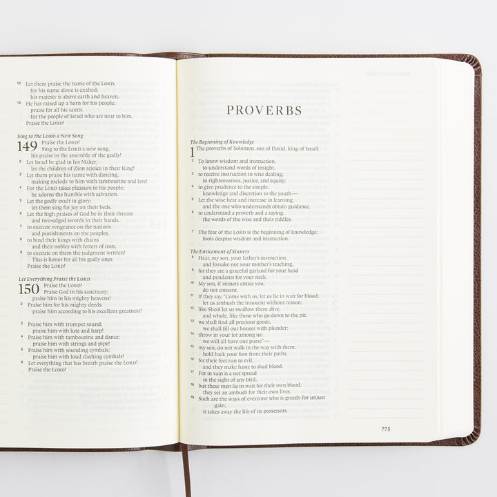 ESV Single Column Journaling Bible, Large Print - Bonded Leather, Mocha