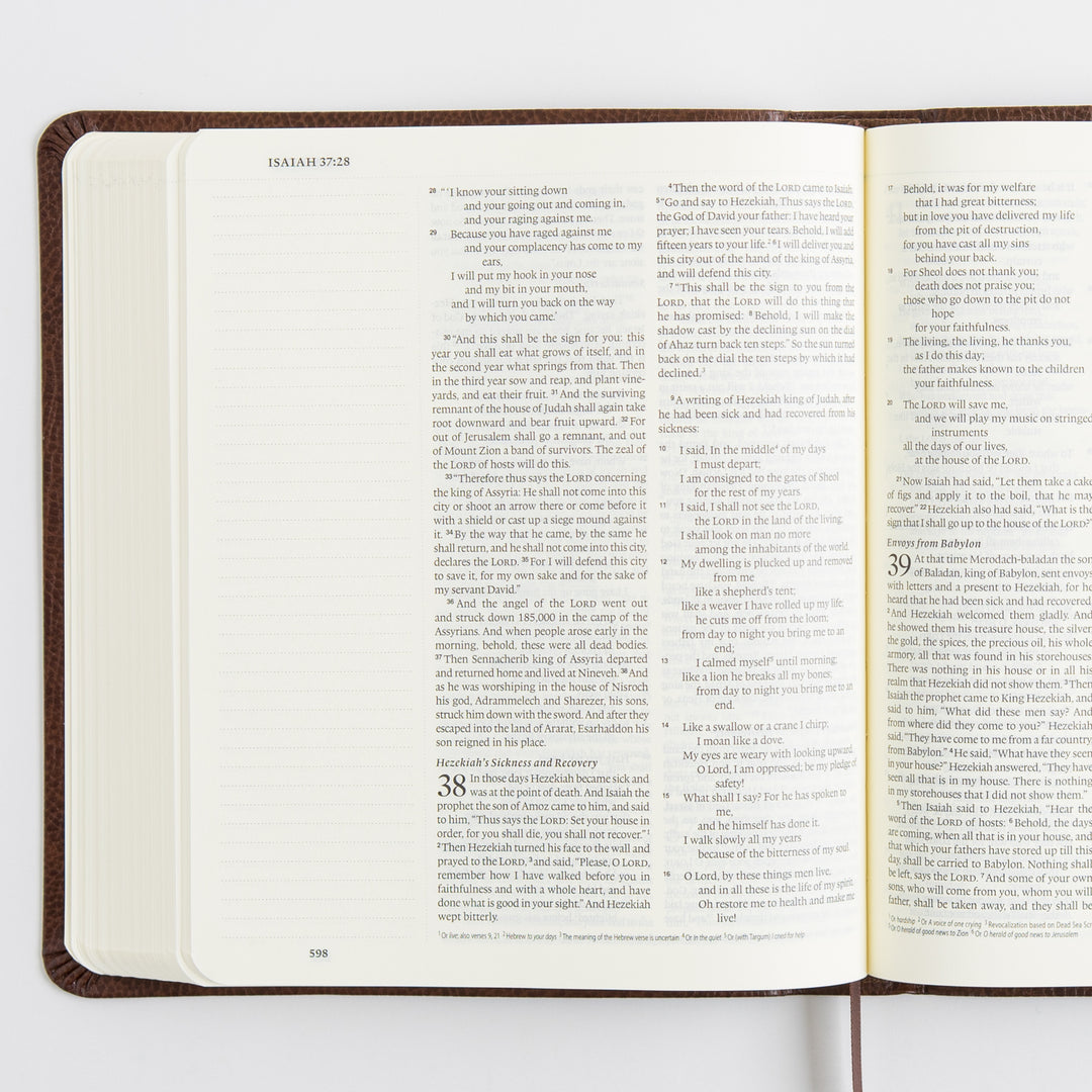 ESV Single Column Journaling Bible, Large Print - Bonded Leather, Mocha