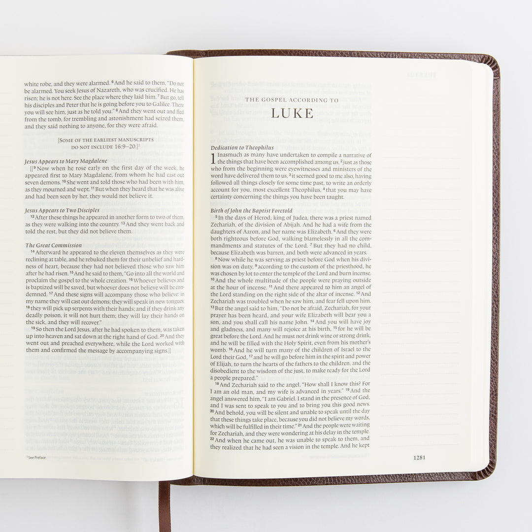 ESV Single Column Journaling Bible, Large Print - Bonded Leather, Mocha