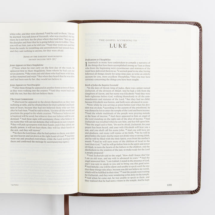 ESV Single Column Journaling Bible, Large Print - Bonded Leather, Mocha