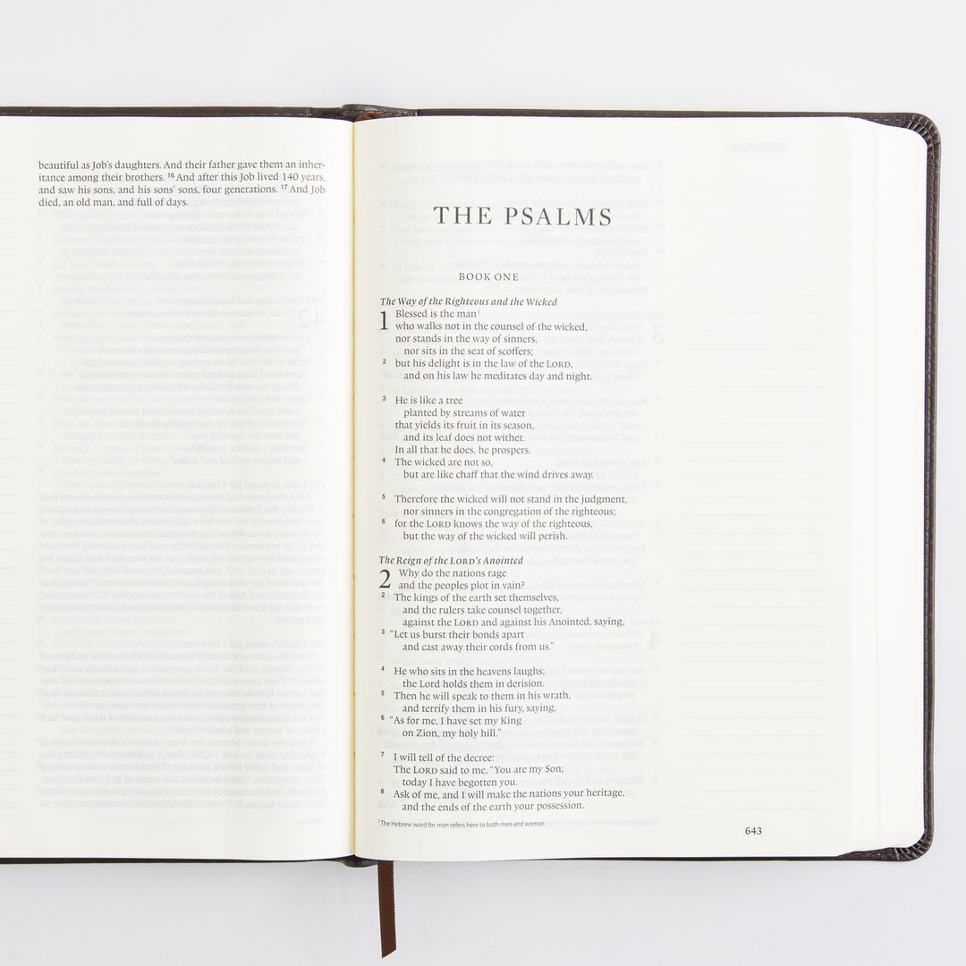 ESV Single Column Journaling Bible, Large Print - TruTone, Deep Brown