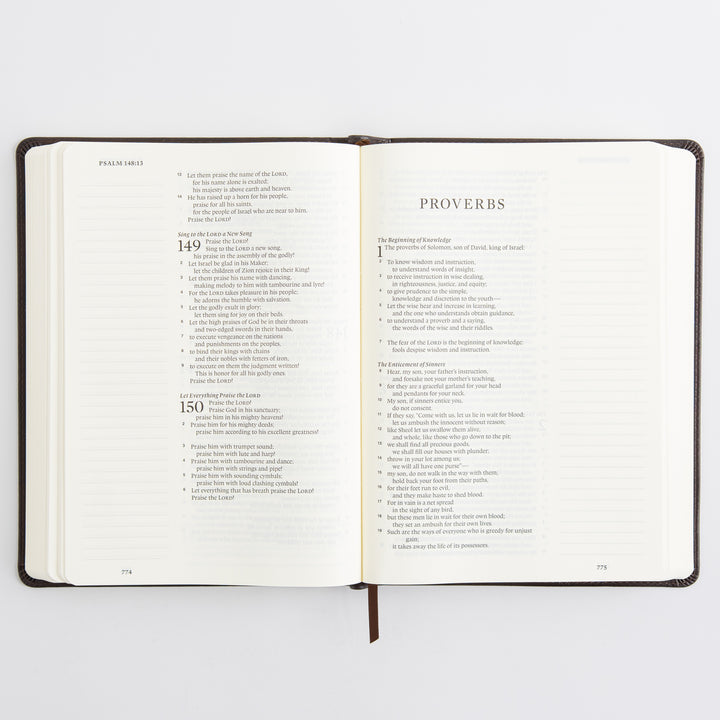 ESV Single Column Journaling Bible, Large Print - TruTone, Deep Brown