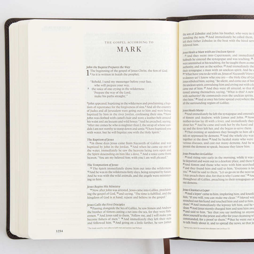 ESV Single Column Journaling Bible, Large Print - TruTone, Deep Brown
