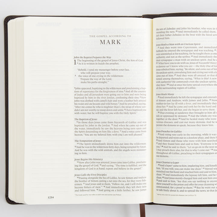 ESV Single Column Journaling Bible, Large Print - TruTone, Deep Brown