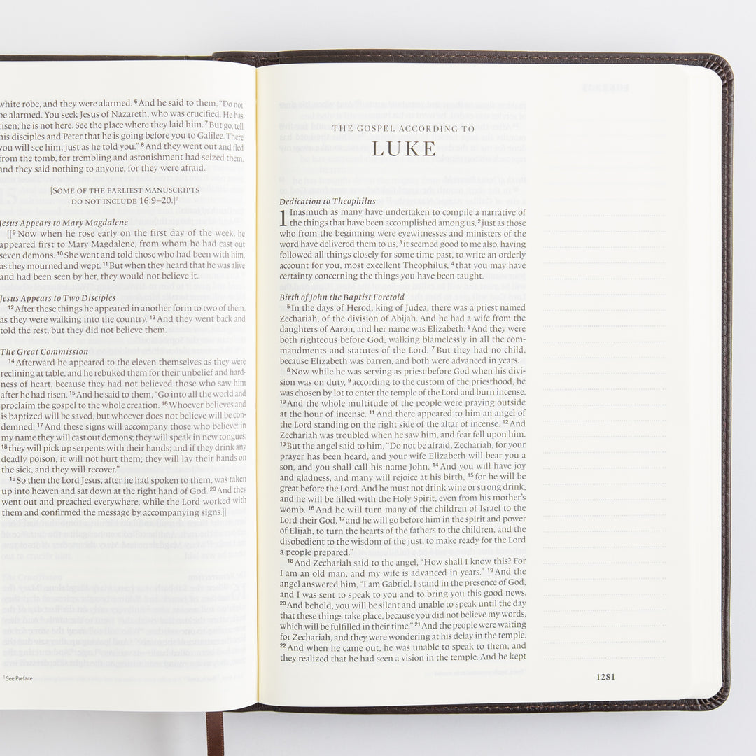 ESV Single Column Journaling Bible, Large Print - TruTone, Deep Brown