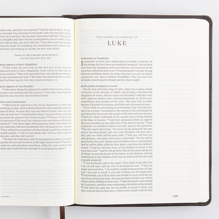 ESV Single Column Journaling Bible, Large Print - TruTone, Deep Brown