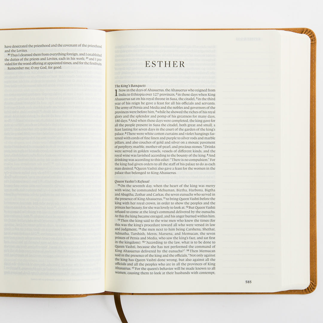 ESV Single Column Journaling Bible, Large Print - TruTone, Nubuck Caramel