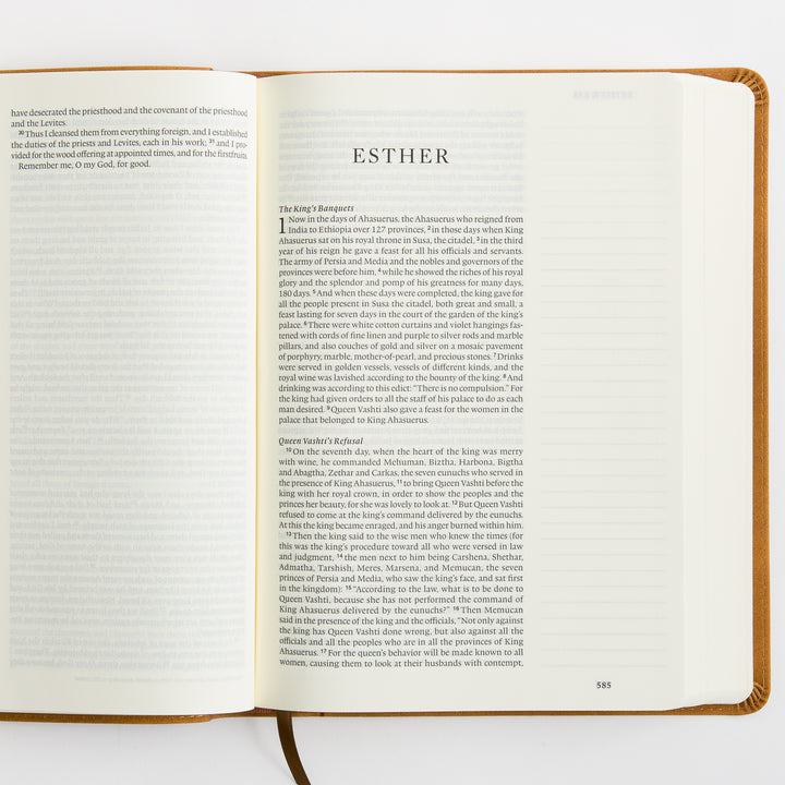 ESV Single Column Journaling Bible, Large Print - TruTone, Nubuck Caramel