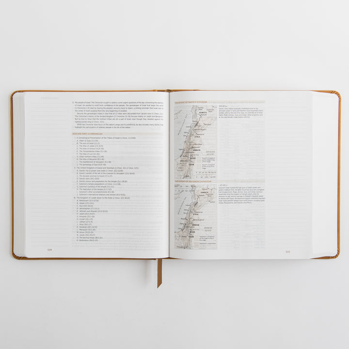 ESV Journaling Study Bible - TruTone, Nubuck Caramel