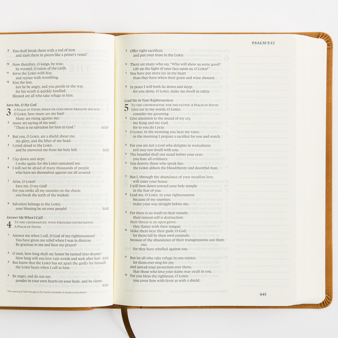 ESV Single Column Journaling Bible, Large Print - TruTone, Nubuck Caramel