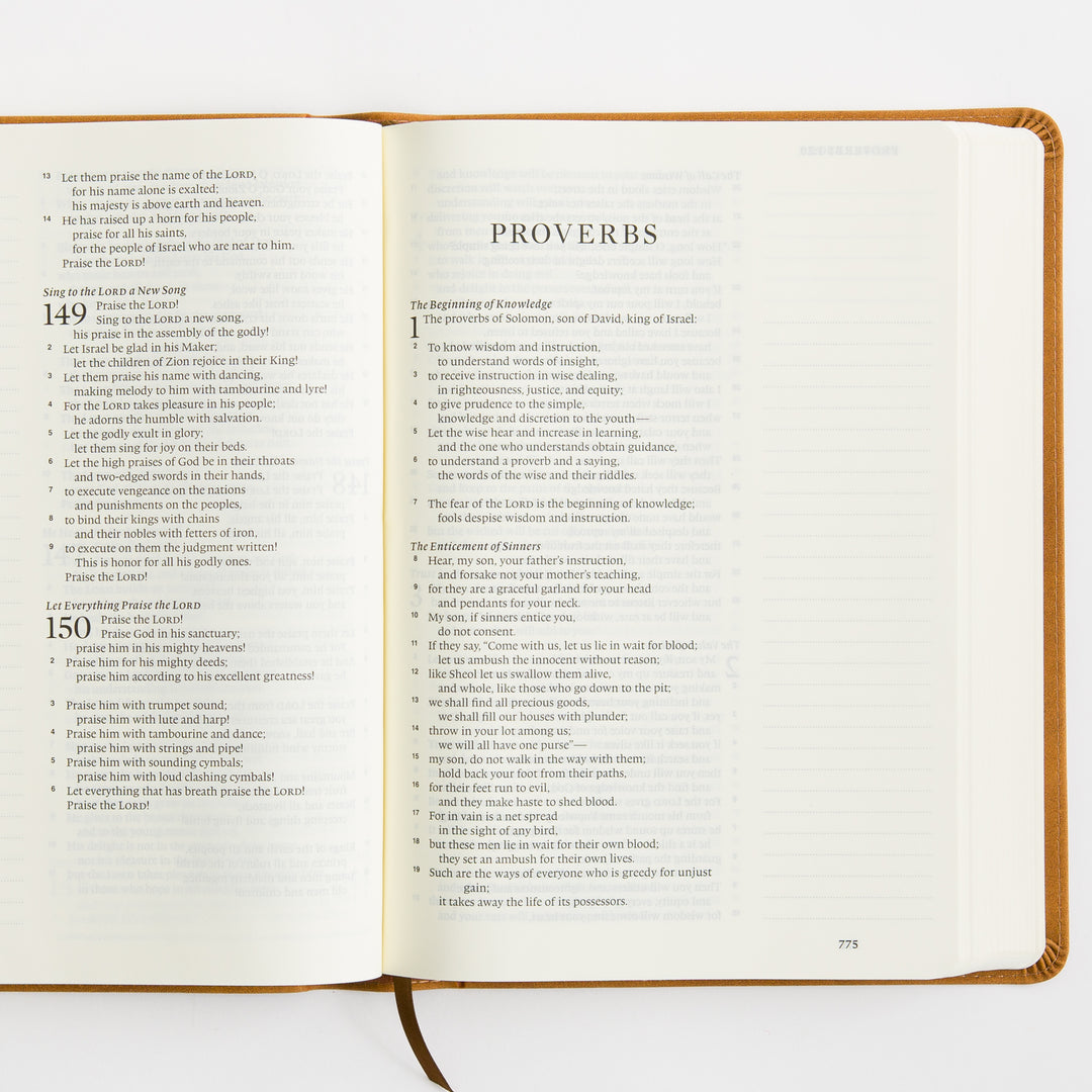 ESV Single Column Journaling Bible, Large Print - TruTone, Nubuck Caramel
