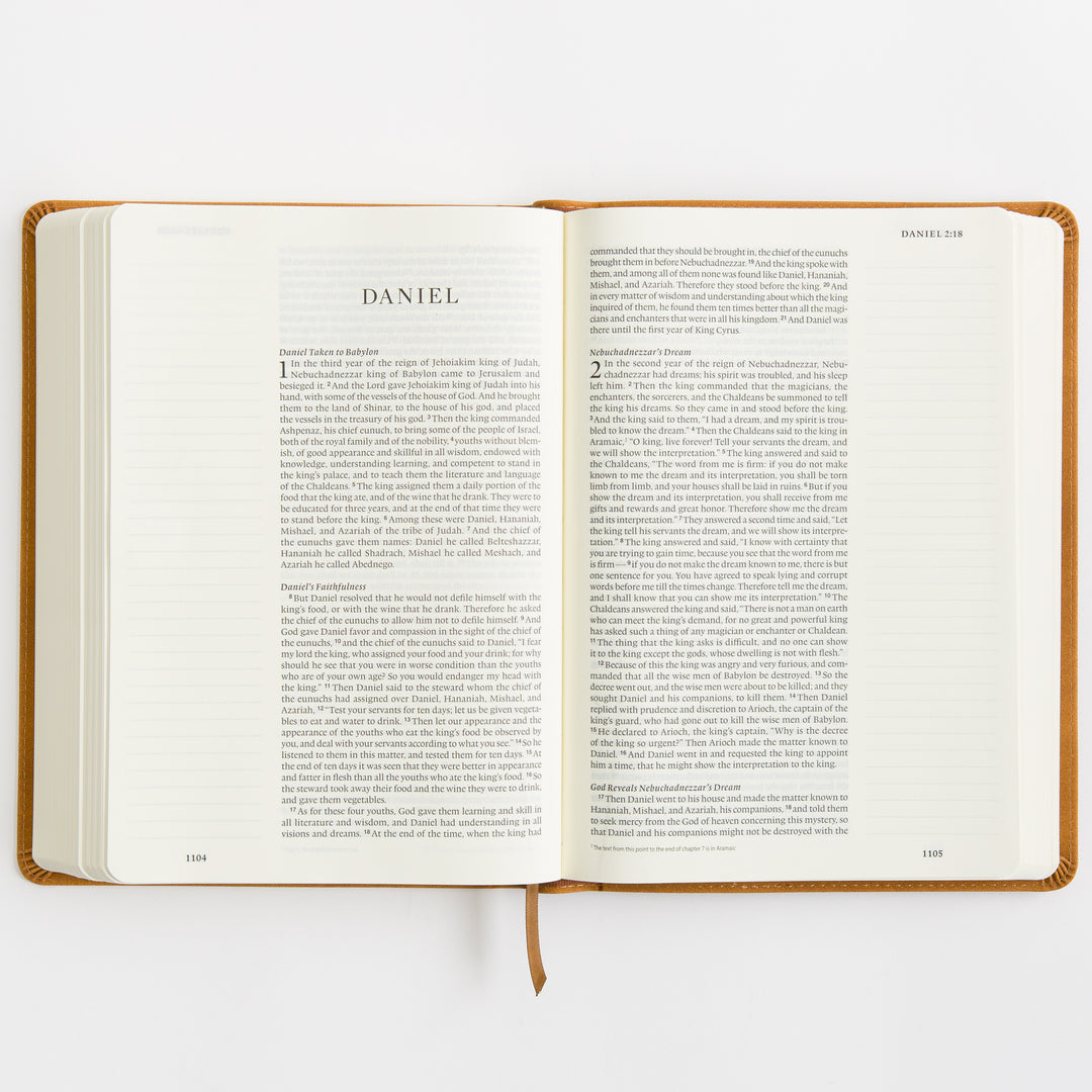 ESV Single Column Journaling Bible, Large Print - TruTone, Nubuck Caramel