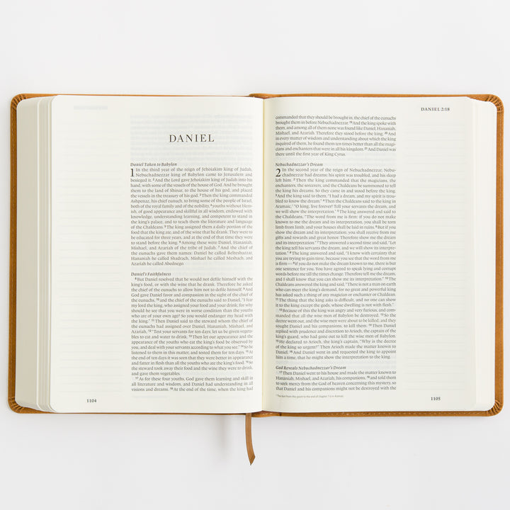 ESV Single Column Journaling Bible, Large Print - TruTone, Nubuck Caramel