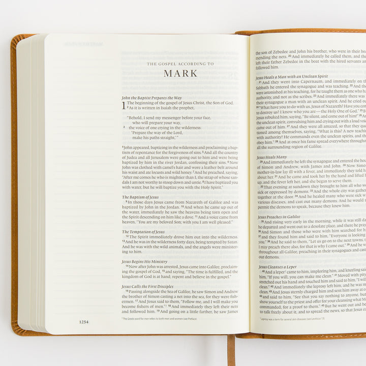 ESV Single Column Journaling Bible, Large Print - TruTone, Nubuck Caramel