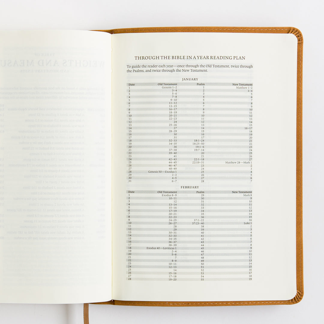 ESV Single Column Journaling Bible, Large Print - TruTone, Nubuck Caramel