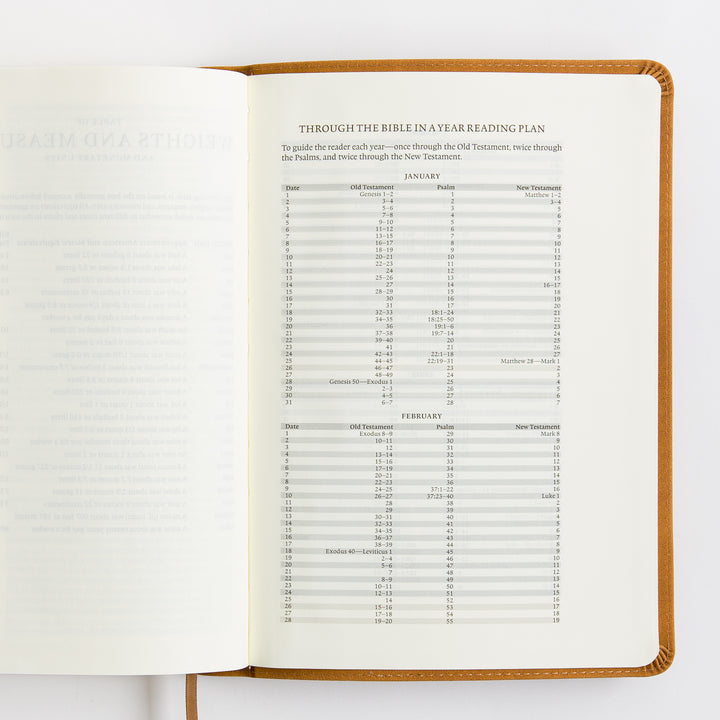 ESV Single Column Journaling Bible, Large Print - TruTone, Nubuck Caramel
