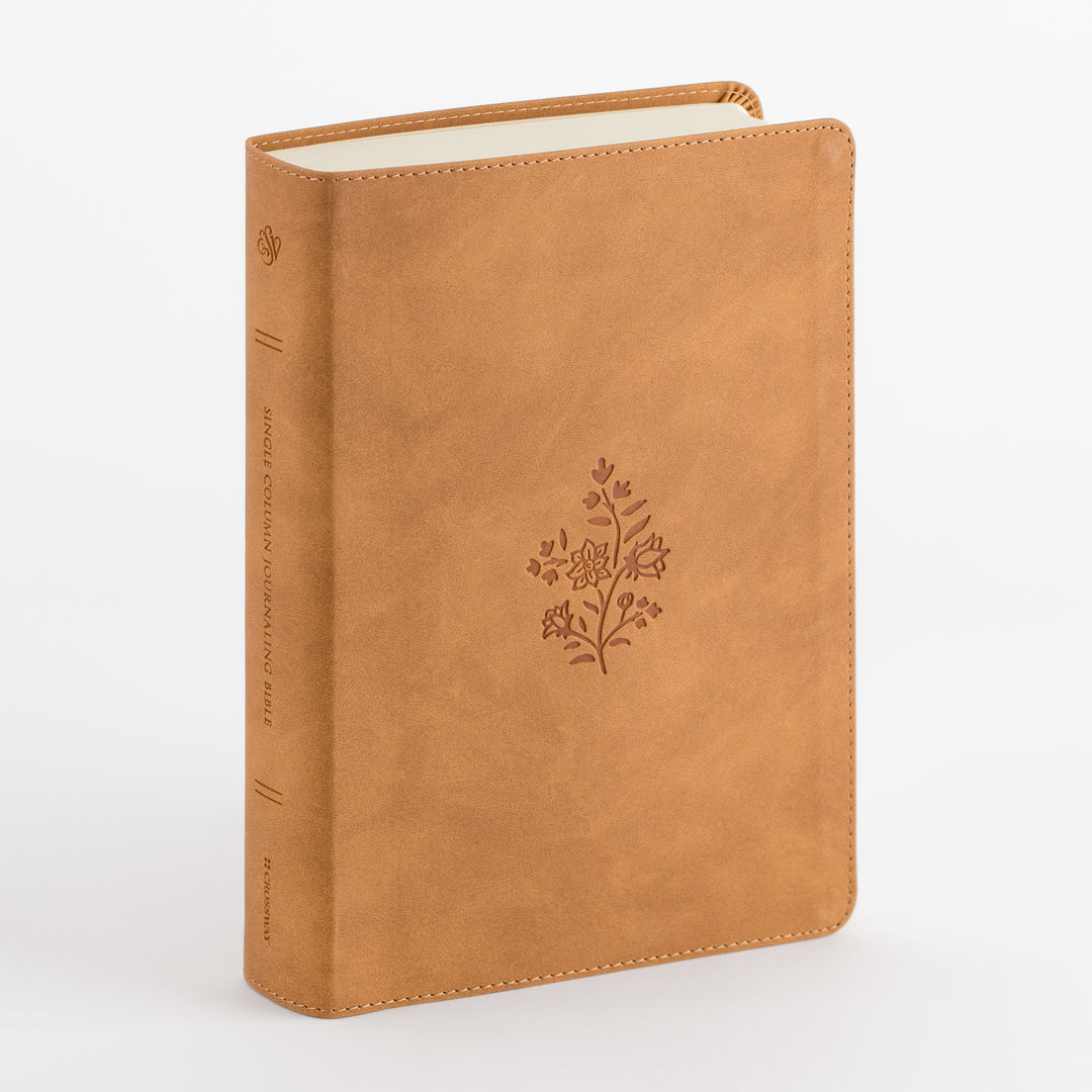 ESV Single Column Journaling Bible, Large Print - TruTone, Nubuck Caramel