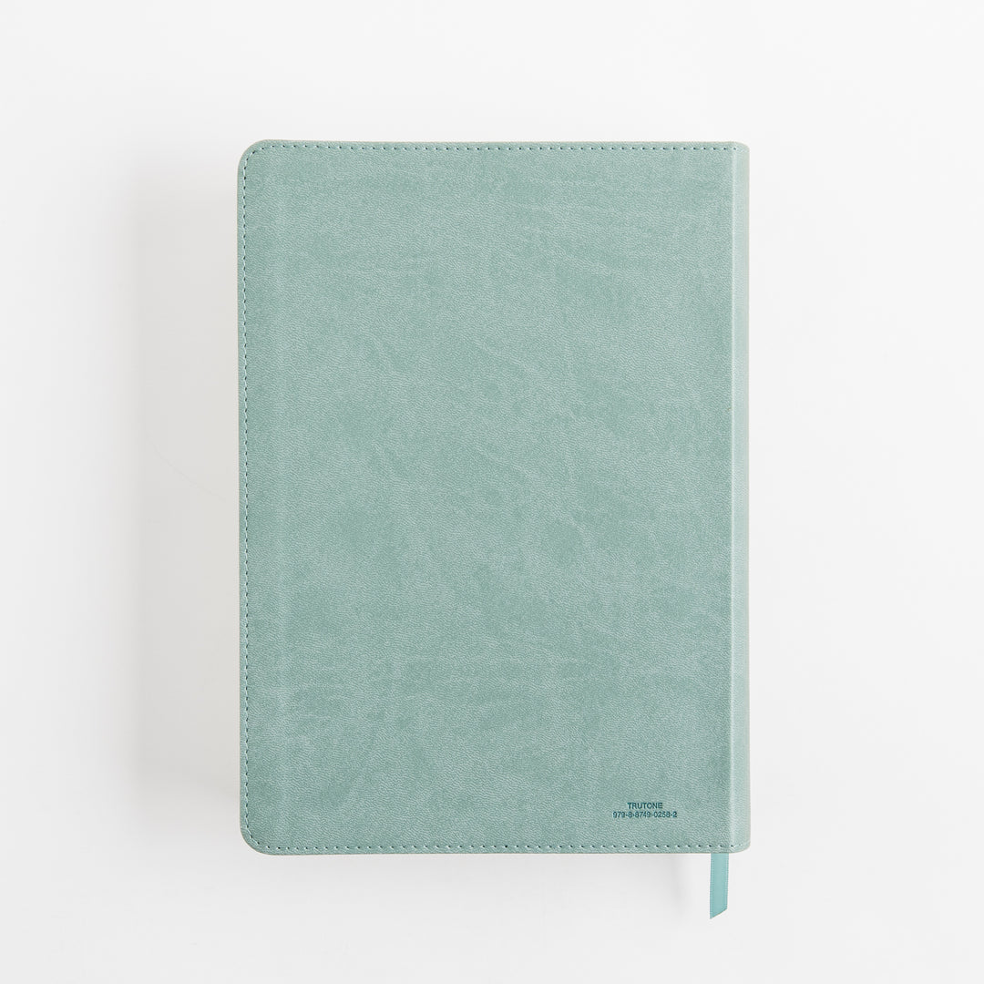 ESV Single Column Journaling Bible, Large Print - TruTone, Paris Sky