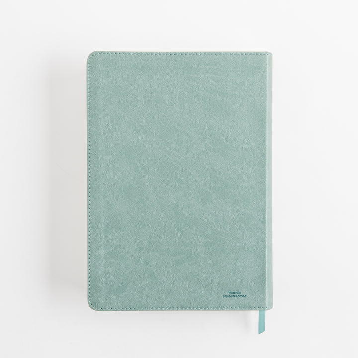 ESV Single Column Journaling Bible, Large Print - TruTone, Paris Sky