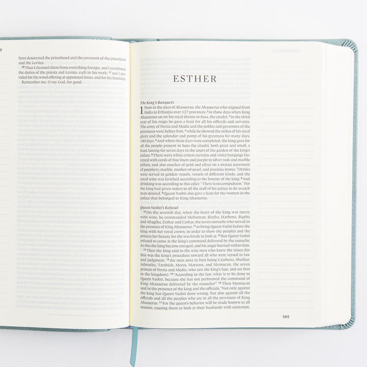 ESV Single Column Journaling Bible, Large Print - TruTone, Paris Sky