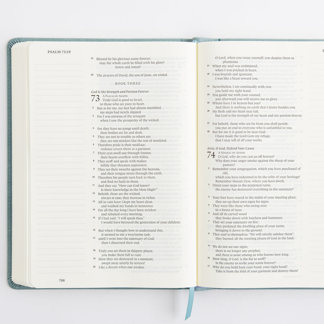 ESV Single Column Journaling Bible, Large Print - TruTone, Paris Sky