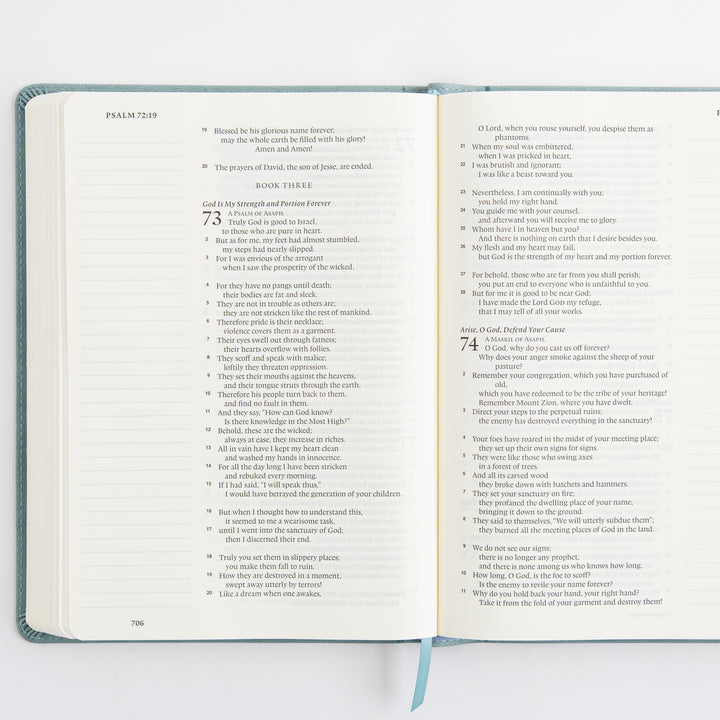 ESV Single Column Journaling Bible, Large Print - TruTone, Paris Sky