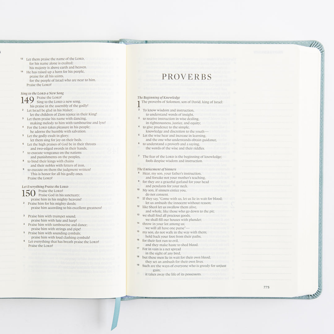ESV Single Column Journaling Bible, Large Print - TruTone, Paris Sky