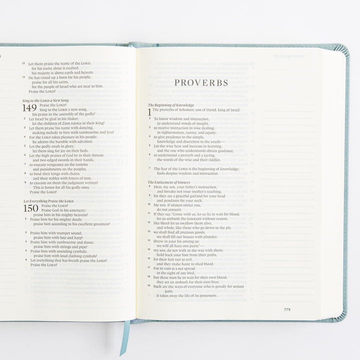 ESV Single Column Journaling Bible, Large Print - TruTone, Paris Sky