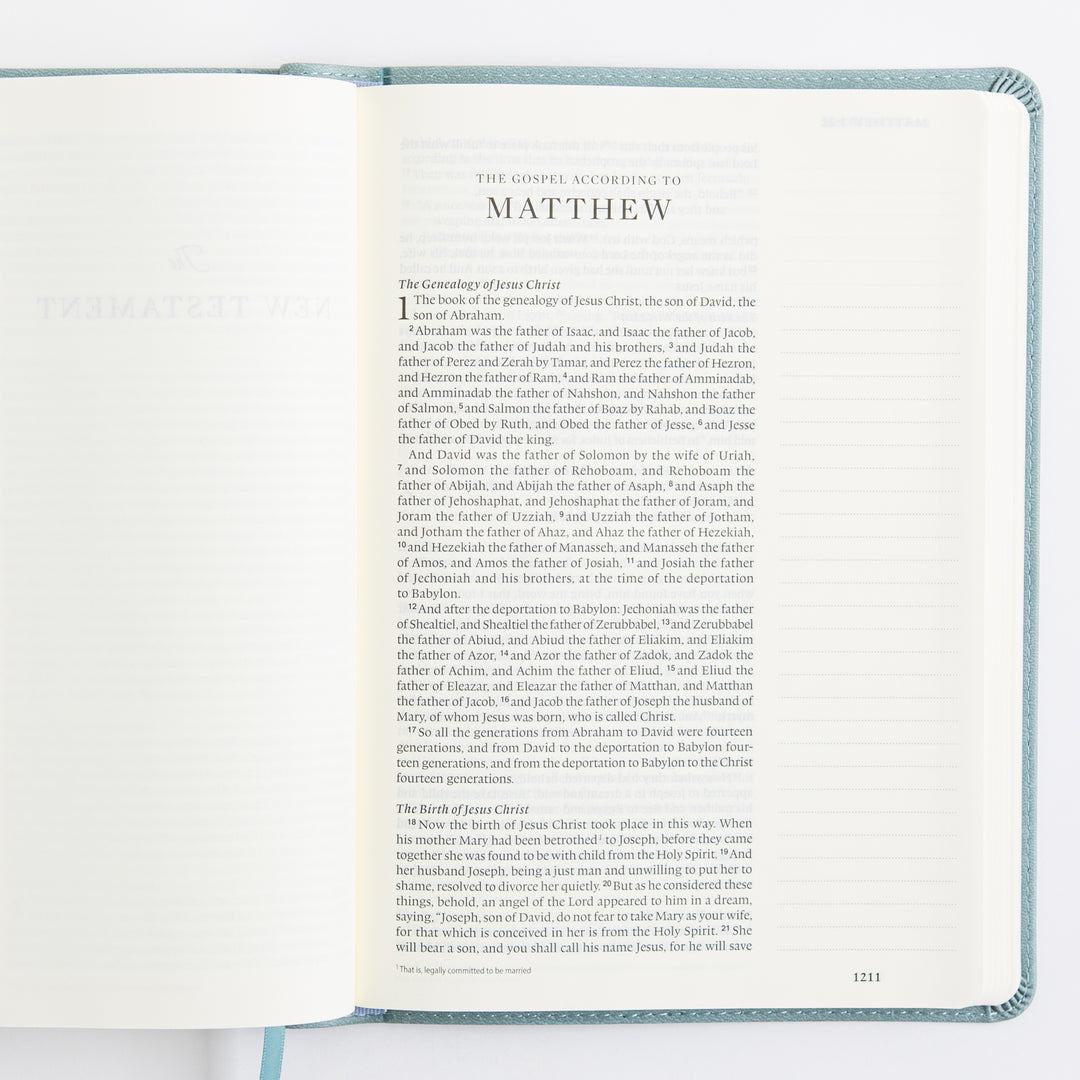 ESV Single Column Journaling Bible, Large Print - TruTone, Paris Sky