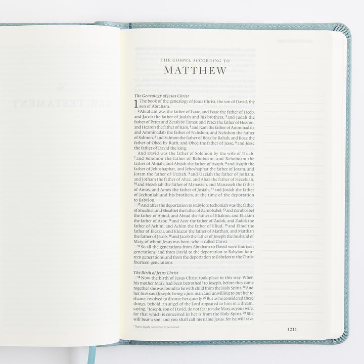 ESV Single Column Journaling Bible, Large Print - TruTone, Paris Sky