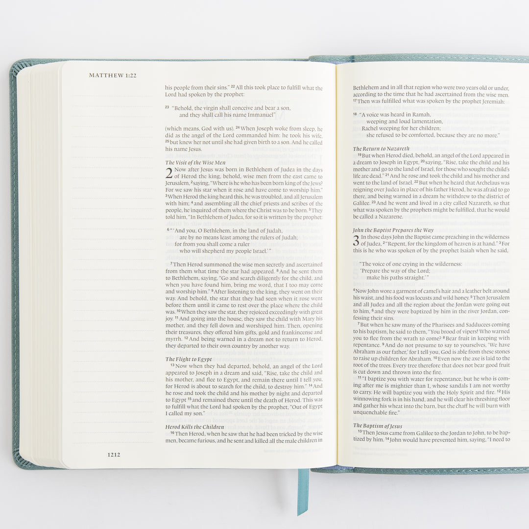 ESV Single Column Journaling Bible, Large Print - TruTone, Paris Sky