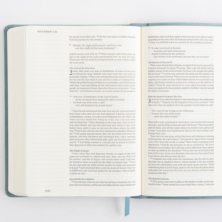 ESV Single Column Journaling Bible, Large Print - TruTone, Paris Sky
