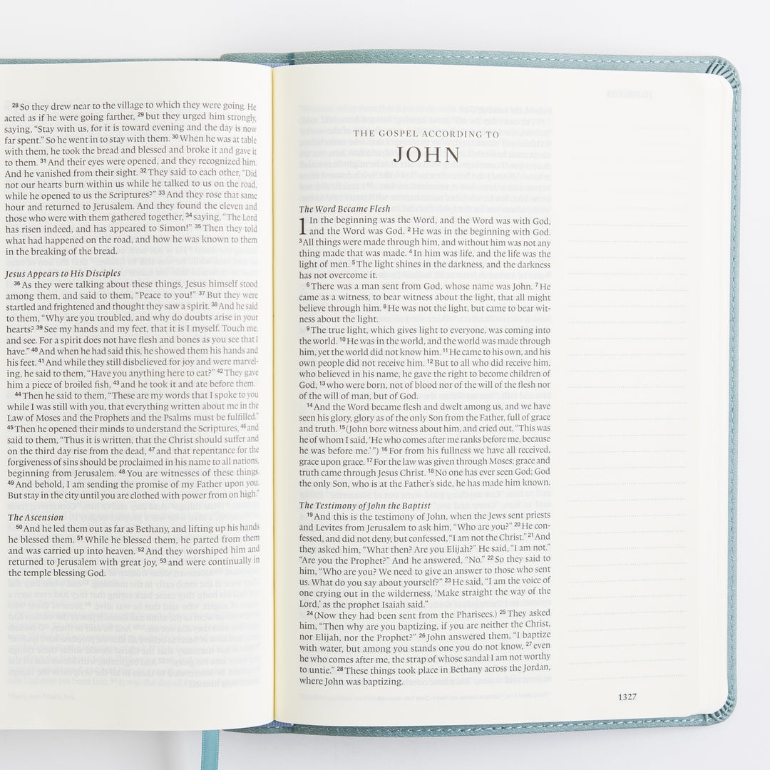 ESV Single Column Journaling Bible, Large Print - TruTone, Paris Sky