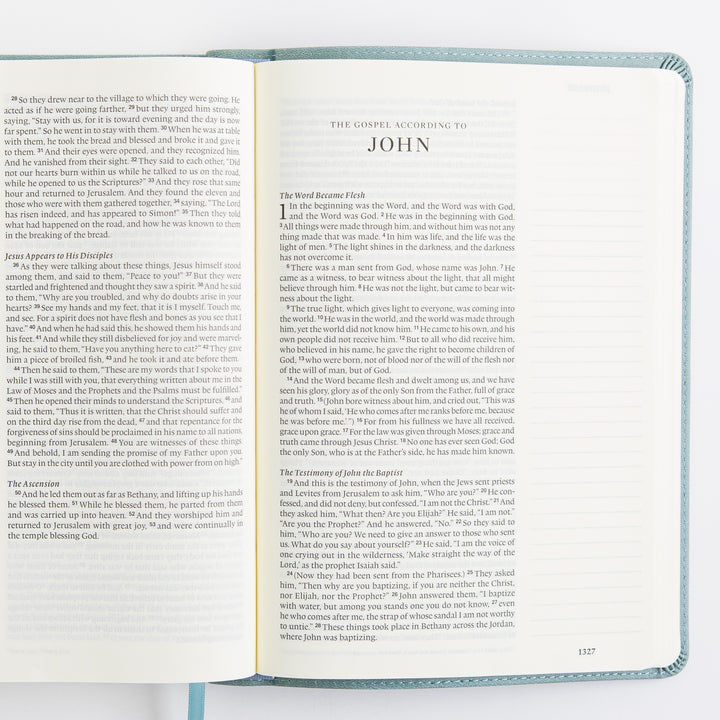 ESV Single Column Journaling Bible, Large Print - TruTone, Paris Sky
