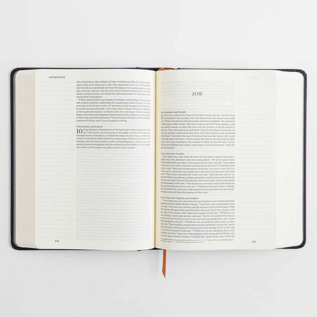 ESV Single Column Journaling Bible, Artist Series - Hardcover, Joshua Noom, The Lion and the Lamb