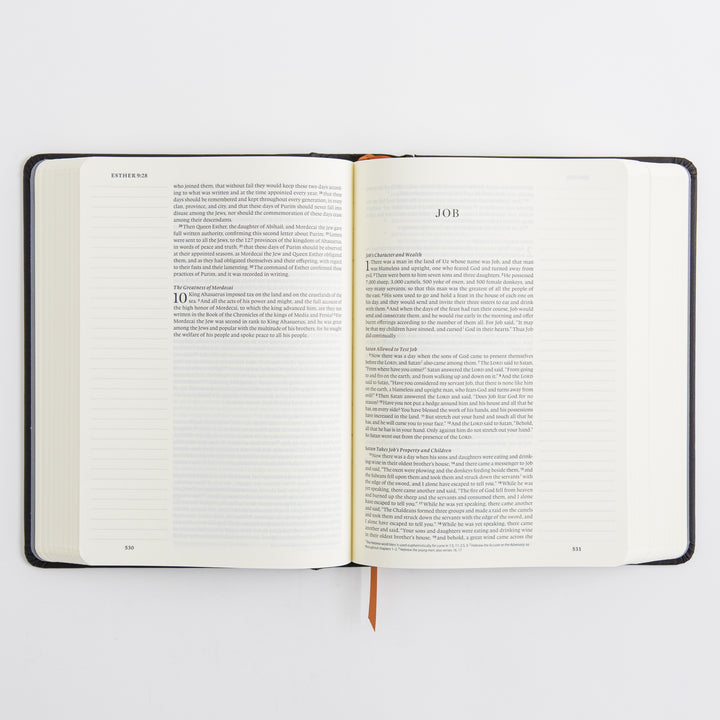 ESV Single Column Journaling Bible, Artist Series - Hardcover, Joshua Noom, The Lion and the Lamb