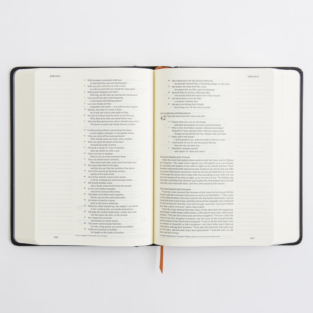 ESV Single Column Journaling Bible, Artist Series - Hardcover, Joshua Noom, The Lion and the Lamb