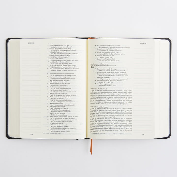 ESV Single Column Journaling Bible, Artist Series - Hardcover, Joshua Noom, The Lion and the Lamb